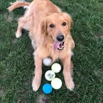 Margo Post - @mlwpost - Instagram