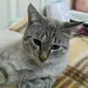 user5932221068943 - @margo_potter1 - TikTok