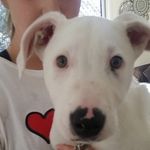 Margo Powell - @powell.margo - Instagram