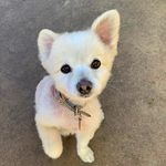 Margeaux - @gogopowermargo - Instagram