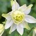 Margot Pugh - Facebook