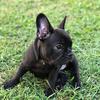 Margo🐶 - @margo.rich - TikTok