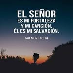 Margo Rivera - @margorivera18 - Instagram