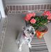 Margo Roach - Facebook