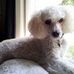 Margo Rock - Facebook