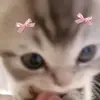 ритка≤З - @margo_rocks - TikTok