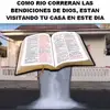 Margo Rosa - @margorosa0 - TikTok