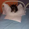 margo rossi - @margorossi6 - TikTok