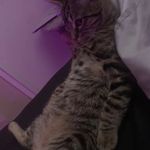 margo - @margo_rushh - Instagram