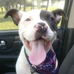 Margo Russell - @margo.russell.56 - Instagram