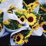 Margo - @margoryan_ - Instagram