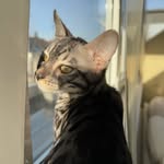 Margo - @savagemargoo - Instagram