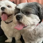 Margo Shaw - @margoshaw3046 - Instagram