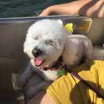 margo - @margoannsilverman042602 - Instagram