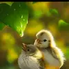 Margo..🐥 - @stuartmargo - TikTok