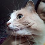 margosweet - @margosweet2009 - Instagram