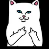 user5652433806408 - @margosweets - TikTok