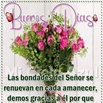 Margo Vásquez santo - @margovasquezsanto - Instagram
