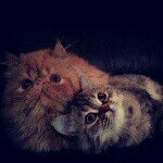 Vincent & Margot - @vincent_margot - Instagram