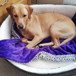 Margo Walters - @margowalters8 - Instagram