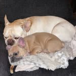 Walter&Margot - @walter_and_margot - Instagram