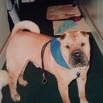 Margo Watson - @able_1000 - Instagram