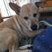 Margo Watson - Facebook