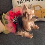 Margo Wolfe - @bestwolfe1 - Instagram