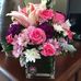 Margot Clarke - Facebook