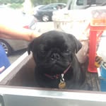 Margot Collins - @keeping_up_with_margot_ - Instagram