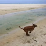 Margot Duncan - @pegsplace87 - Instagram