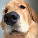 Margot - @goldengirl_margot - Instagram