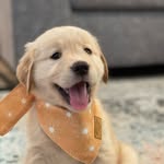 Margot - @margot.golden.girl - Instagram
