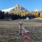 Margot - @margot.goldina - Instagram