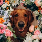 (Mar)Got The Gold - @margotthegold - Instagram