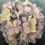 @margotgoodwin.painter - Instagram