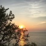 Margot Gordon - @thesunisthelimit - Instagram