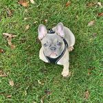 Margot Jones - @little_miss_margot__ - Instagram