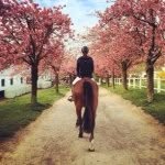 Margot Laporte - @margotlaport - Instagram