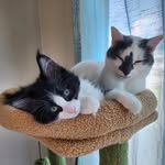Margot Laporte - @maggie_magpie_maggie - Instagram
