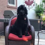 Margot Lloyd - @gogolloyd - Instagram