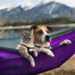 Margot Nelson - @margotnelson853 - Instagram