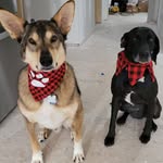 Margot Parker - @mpsixmile - Instagram