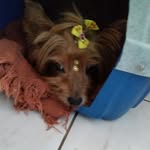 @margot__princesa56 - Instagram