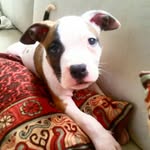 Margot - @margotprincess - Instagram