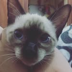 Margot Princess - @margot_princess_ - Instagram