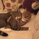 Manuel and Margot Richards - @manuelandmargot - Instagram