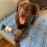 Margot Kyle Richards Cardinale-West - @margethemoose - Instagram