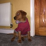 Margot Richards - @princessmargotxo - Instagram