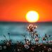 Aqua J Margot  Ross - Facebook